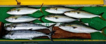 火遠理丸（ほおりまる） 釣果