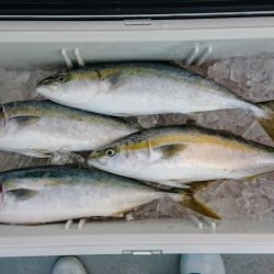 火遠理丸(ほおりまる) 釣果