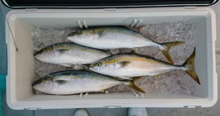 火遠理丸(ほおりまる) 釣果