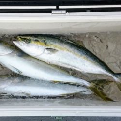 火遠理丸(ほおりまる) 釣果