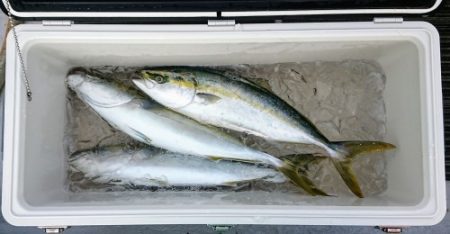 火遠理丸(ほおりまる) 釣果