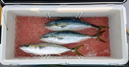 火遠理丸(ほおりまる) 釣果