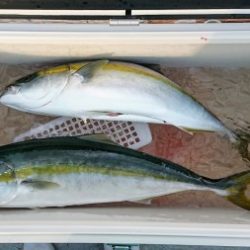 火遠理丸(ほおりまる) 釣果