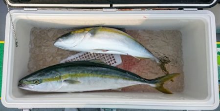 火遠理丸(ほおりまる) 釣果