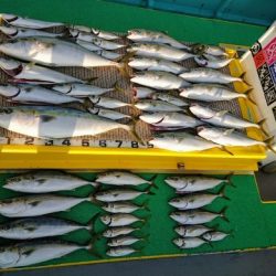 火遠理丸(ほおりまる) 釣果