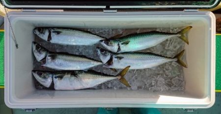 火遠理丸(ほおりまる) 釣果