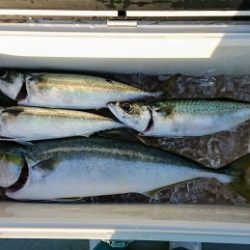 火遠理丸(ほおりまる) 釣果