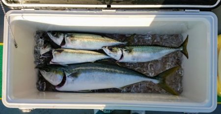 火遠理丸(ほおりまる) 釣果