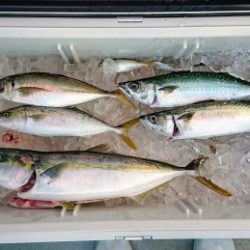 火遠理丸(ほおりまる) 釣果