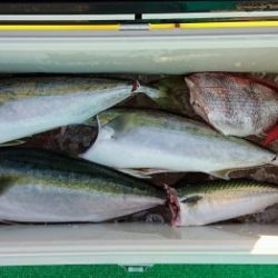 火遠理丸(ほおりまる) 釣果