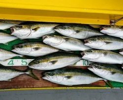 火遠理丸（ほおりまる） 釣果