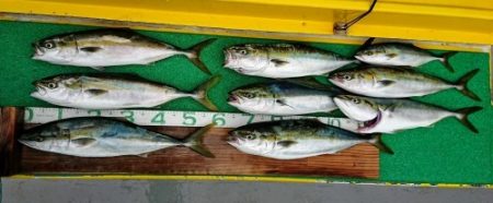 火遠理丸（ほおりまる） 釣果