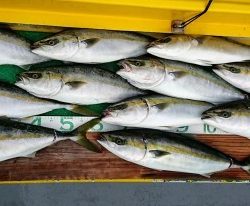 火遠理丸(ほおりまる) 釣果