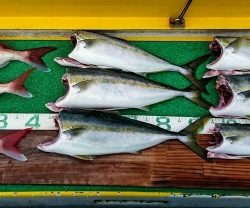 火遠理丸(ほおりまる) 釣果