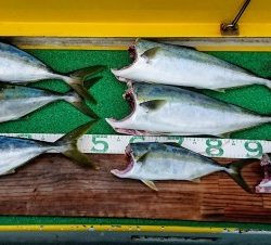 火遠理丸(ほおりまる) 釣果