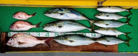 火遠理丸(ほおりまる) 釣果