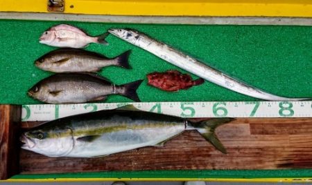 火遠理丸(ほおりまる) 釣果