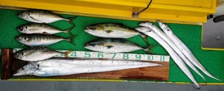 火遠理丸（ほおりまる） 釣果