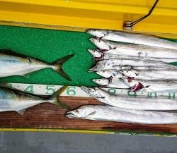 火遠理丸（ほおりまる） 釣果