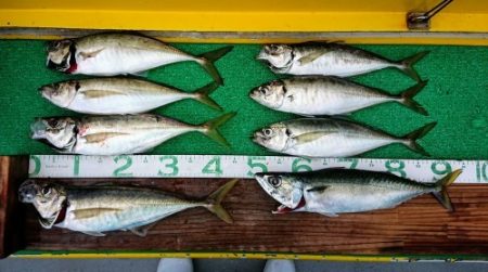 火遠理丸（ほおりまる） 釣果