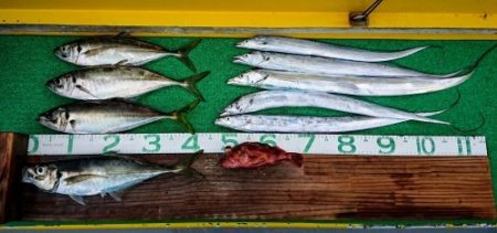 火遠理丸（ほおりまる） 釣果