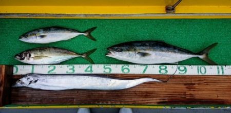 火遠理丸（ほおりまる） 釣果