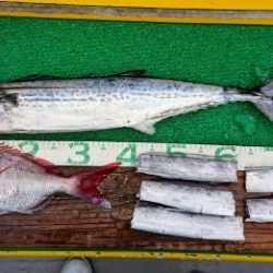 火遠理丸（ほおりまる） 釣果