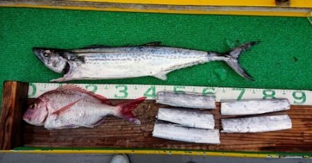 火遠理丸（ほおりまる） 釣果