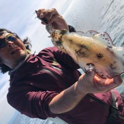 Magic（マジック） 釣果