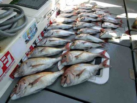 遊漁船 セトマリン 釣果