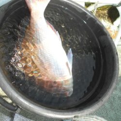 こうゆう丸 釣果