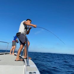 へいみつ丸 釣果