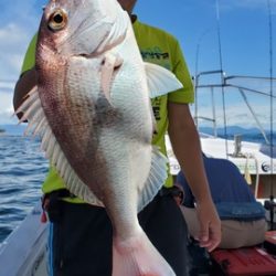 遊漁船　ニライカナイ 釣果