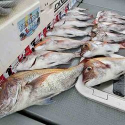 遊漁船 セトマリン 釣果