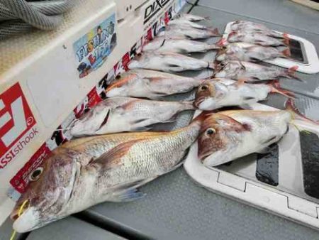 遊漁船 セトマリン 釣果