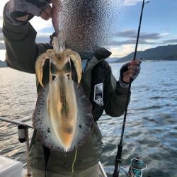 Magic(マジック) 釣果