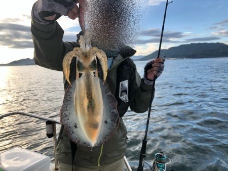 Magic(マジック) 釣果