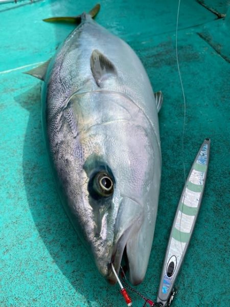 広進丸 釣果