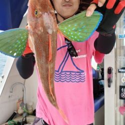 遊漁船 ニライカナイ 釣果