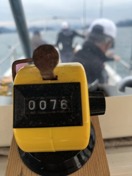 Magic(マジック) 釣果