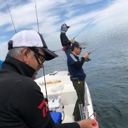 Magic(マジック) 釣果