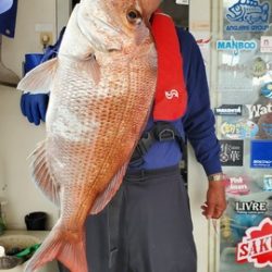 遊漁船 ニライカナイ 釣果
