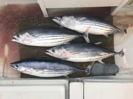 まると屋 釣果