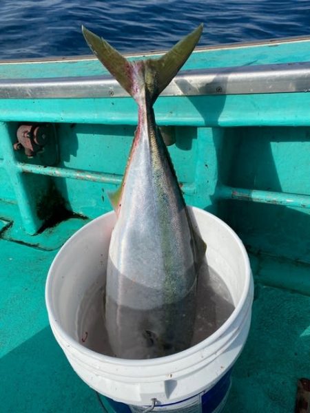 広進丸 釣果