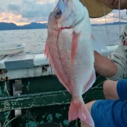 松福丸 釣果