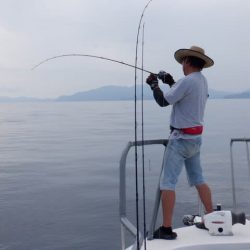 開進丸 釣果