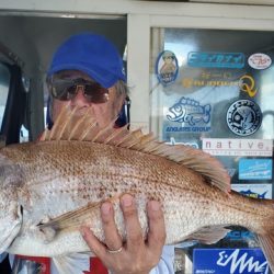 遊漁船 ニライカナイ 釣果