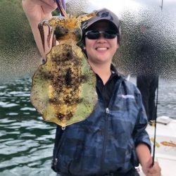 Magic(マジック) 釣果