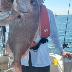 遊漁船 ニライカナイ 釣果