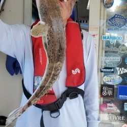 遊漁船 ニライカナイ 釣果